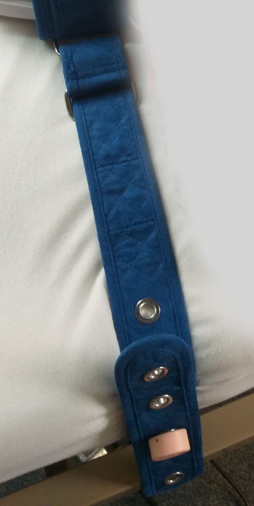 Renol Sangles latérales pour ceinture de lit - 60 cm - paire