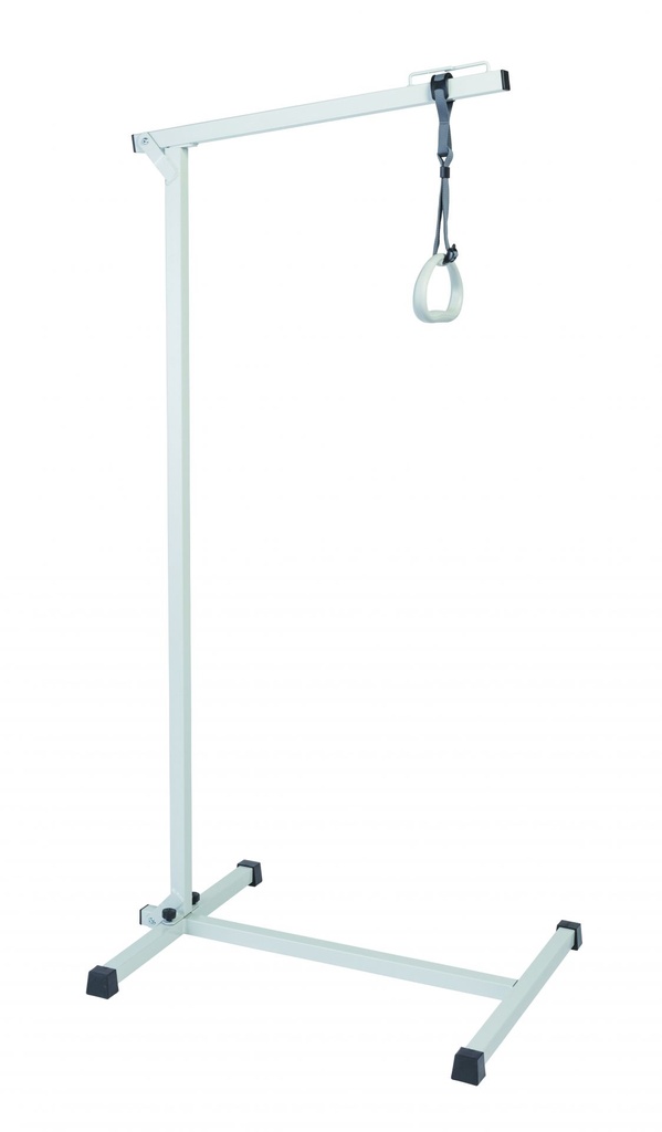 Perroquet sur pied Macarena